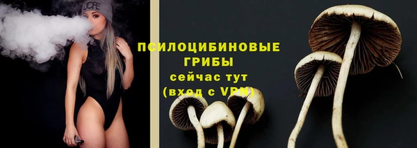 PSILOCYBIN Алексеевка