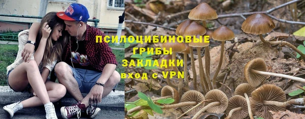 PSILOCYBIN Алексеевка